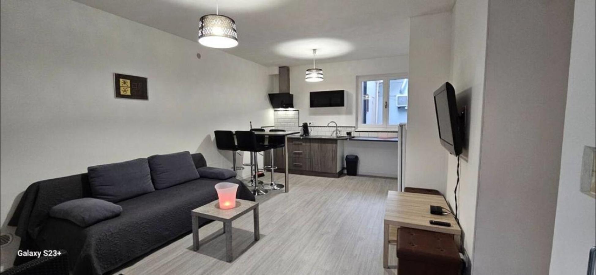 פרפיניין Appartement Cosy Avec Patio En Rdc מראה חיצוני תמונה